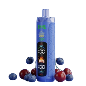 ATVS Blueberry Cherry 70000 Puffs